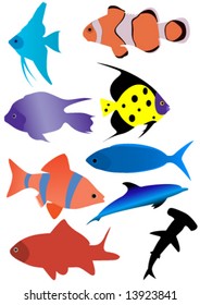 Illustration of various types of fish