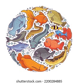 illustration of various types of freshwater fish. some are tropical freshwater fish.