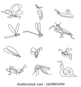 
illustration of various types of insects with outline style. butterfly, cocoon, 
caterpillar,  dragonfly, dragonfly needle,  mantis, bee, wasp, termites, snail, mosquito, grasshopper. vector