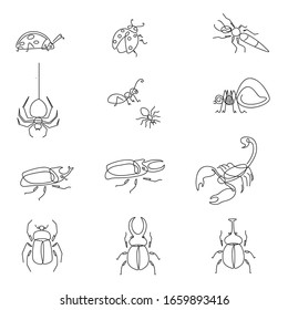 illustration of various types of insects with outline style. lady bug, spider, ant, scorpion, beetle, horn beetle,
claw beetles. vector