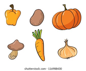 illustration of various vegetables on a white background
