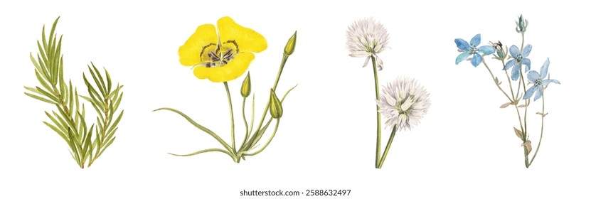 Illustration of various wildflowers: yellow poppy, bluebell, and white clover. Delicate wildflowers with vibrant colors and intricate details. Nature illustrations, isolated element vector set.