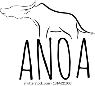 Illustration vector anoa mammal endemic Indonesia