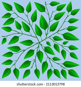 Illustration Vector Background of Beautiful Fresh Green Leaves on Tree Branches.
