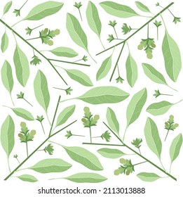 Illustration Vector Background of Beautiful Fresh Green Leaves on Tree Branches.
