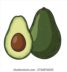 Illustrationsvektor einer schönen Avocado