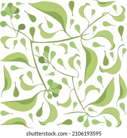 Vector de Ilustración de Hermosas Hojas Verdes Frescas aisladas en un fondo blanco.
