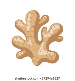 Vetor de ilustração de um belo gengibre