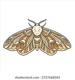 Vector de la ilustración de un fondo blanco hermoso de la polilla