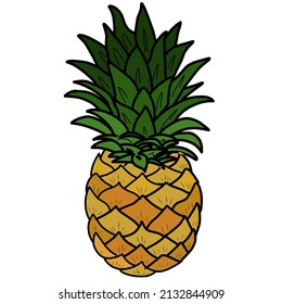 Illustration vector of a big pineapple.
