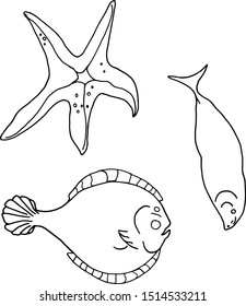 
Illustration vector black and white fish, starfish, flounder. Sea set with fish and starfish for coloring