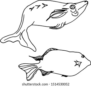 Illustration vector black and white several fish. Sea set with fish