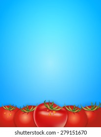 illustration of vector blue background with 5 tomatoes