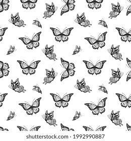un vector de ilustración de mariposa sobre blanco aislado.