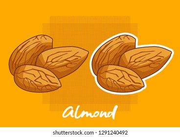 illustration of a vector cartoon almond, almonds, fresh almonds, hazelnuts, vector almonds.