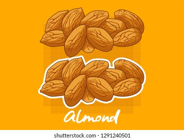 illustration of a vector cartoon almond, almonds, fresh almonds, hazelnuts, vector almonds.