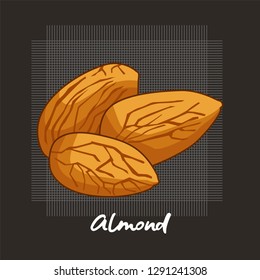 illustration of a vector cartoon almond, almonds, fresh almonds, hazelnuts, vector almonds.