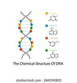 Illustration Vector Chemical Molecule Structure Eps Stock Vector ...