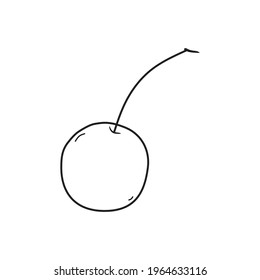 illustration vector of cherry fruit. cherry line icon. cherry sketch