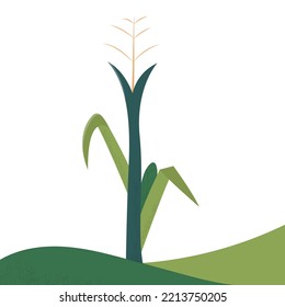 vector ilustrativo de la estética del tallo de maíz