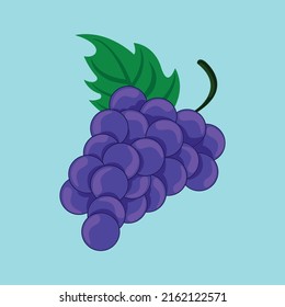 Illustration vector design of grapes with shading on blue backgraound. Perfect for food production, nutrition production, vitamin production, etc.
