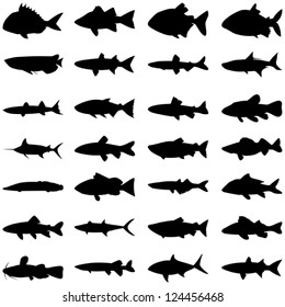 Illustration vector of different kinds of Fish Silhouette.