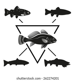 Illustration vector of different kinds of Fish Silhouette in emblem