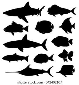 Illustration vector of different kinds of Fish Silhouette.