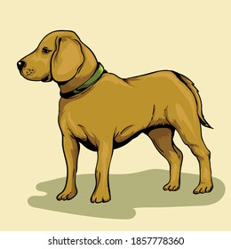 illustration vector of dog  very suitable as a picture on t-shirts, wall hangings, story books, or various other art products