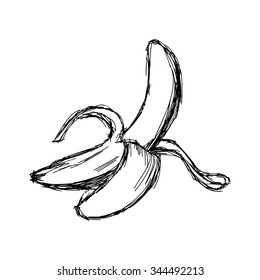illustration vector doodle hand drawn of sketch banana isolated