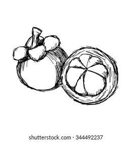 illustration vector doodle hand drawn of sketch mangosteen isolated
