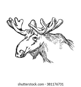 illustration vector doodle hand drawn of sketch moose head isolated on white background