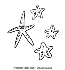 illustration vector doodle linear drawing sea starfish