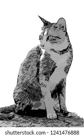 illustration vector drawing cat side looking