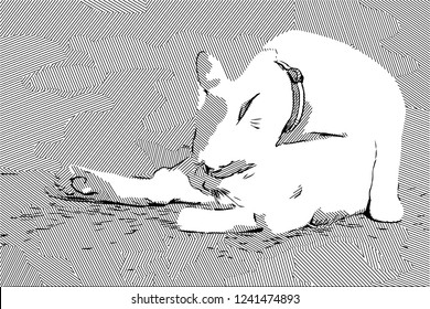 illustration vector drawing white cat sitting and smell or licking body
