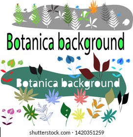 Illustration vector drawing.Botanica background.  Vector graphics