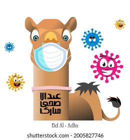 Illustration vector eid adha, featuring camels with masks and corona viruses. It's fit for your promotional design..