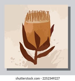 Illustration vector EPS 10 print.Hand drawn boho plants, shapes,scandinvian, figure, palm leaves and nature view. Modern floral vector illustration, poster, wall art poster, fashion.