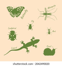 Illustration vector of fauna, animal, butterfly, ladybird, ant, fly, lizard, snail, mosquito