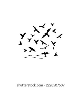 illustration vector of flock flying bird silhouette on white background