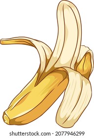 Frutos vectoriales de ilustración de frutos de banana