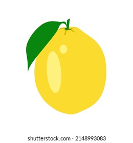 Illustration vector for fruit lemon