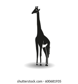 Illustration of a vector giraffe