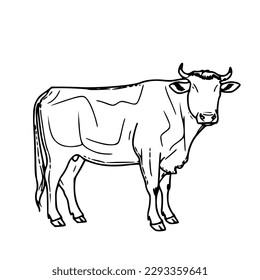 Illustration vector graphic of 2D line art image of a cow on a white background good for wall decoration, wall painting, magazine elements, t-shirt, decoration, miniature, clothing design, painting