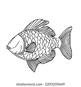 Illustration vector graphic of 2D line art image of a fish on a white background best for wall decoration, wall painting, magazine elements, t-shirt, decoration, miniature, clothing design, painting