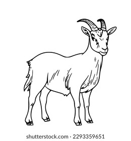 Illustration vector graphic of 2D line art image of a goat sheep on a white background fit for wall decoration, wall painting, magazine elements, t-shirt, decoration, miniature, clothing design, paint