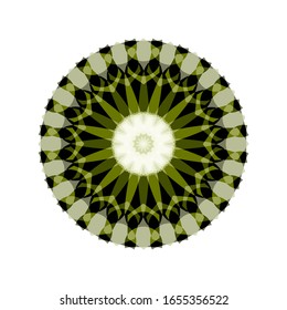 ilustración vectorial de color abstracto de diseño vector mandala dibujado a mano. Elemento de diseño de adorno circular. para el logotipo, icono o símbolo, etc