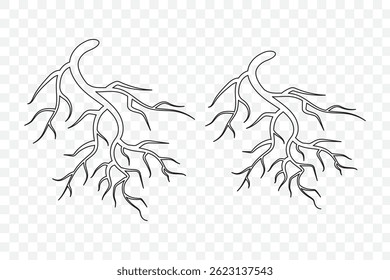 Ilustração vetor gráfico de raiz de vida abstrata no fundo branco vetor logotipo modelo de design. EPS 10.
