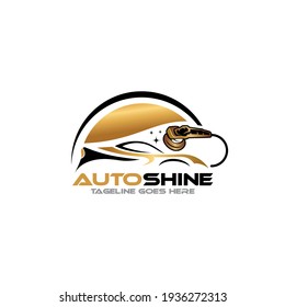 Illustration vector graphic of auto detailing servis logo design template