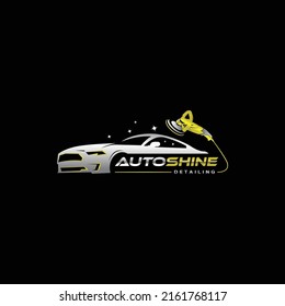 Illustration vector graphic of auto detailing servis logo design template